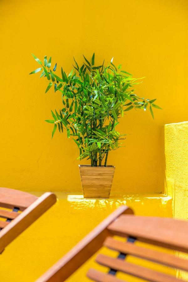 Alfama, Bright And Spacious With Private Terrace, By Timecooler Lisboa Exteriör bild